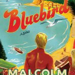 Bluebird Knox Bookoccino Surfing Novel