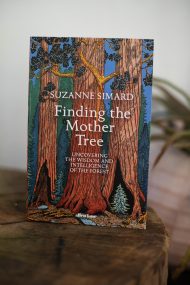 Book Suzanne Simard Finding the Mother Tree Biography Forest